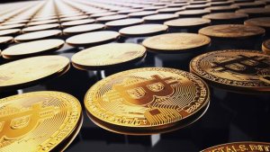 Videohive Bitcoin logo reveal 29668725 Logo Stings template preview