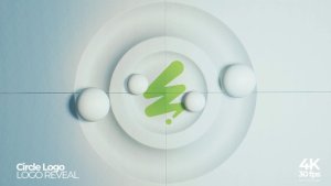Videohive Circle Logo Reveal 55571142 Logo Stings template preview