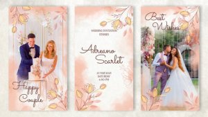 Videohive Wedding Invitation Stories | Instagram Openers template preview