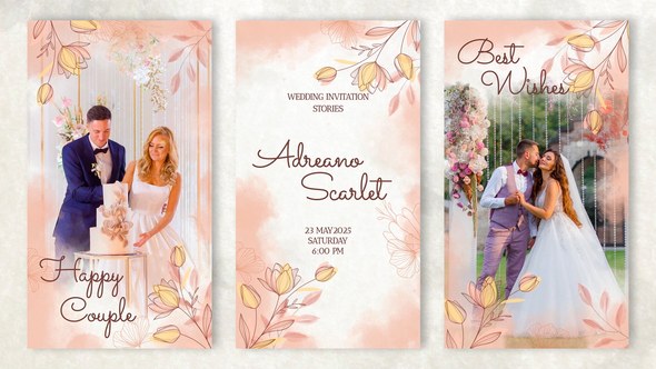 Videohive Wedding Invitation Stories | Instagram Openers template preview