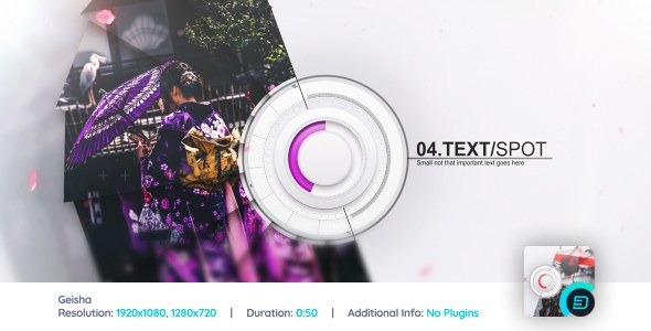 Videohive Geisha Video Displays template preview