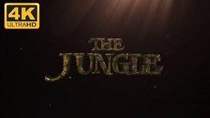 Videohive Cinematic Logo Reveal - Hollywood Style Logo Stings template preview