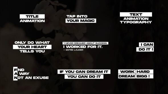 Videohive Text Animation | AE 51708067 Titles template preview