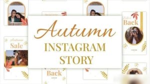 Videohive Autumn Sale Instagram Stories 34308840 Video Displays template preview