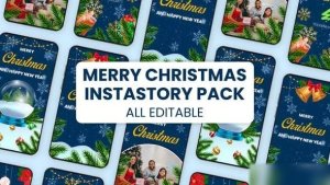 Videohive Merry Christmas Stories 55094648 Elements template preview