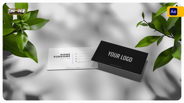 Videohive Elegant Business Card Mockup Product Promo template preview
