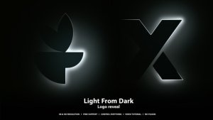 Videohive Logo Reveal 49620235 Logo Stings template preview