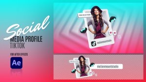 Videohive Social Media Profile - TikTok 48110362 Elements template preview