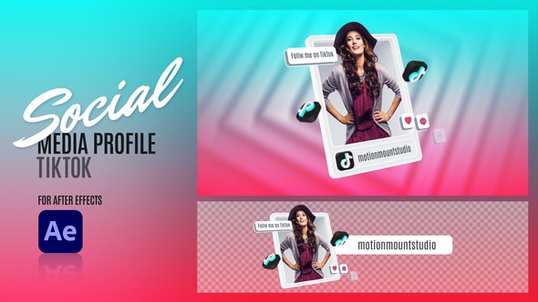 Videohive Social Media Profile - TikTok 48110362 Elements template preview