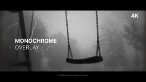 Videohive Monochrome Overlay Elements template preview