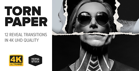 Torn Paper 4K | Reveal Transitions Pack Video Displays template preview