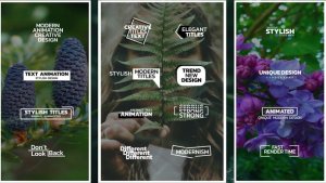 Videohive Simple and Minimal Titles | After Effects 53768303 Titles template preview