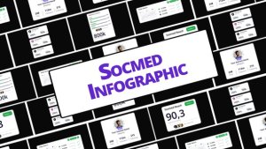 Videohive Social Media Infographic 60316843 Elements template preview