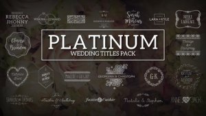 Platinum | Wedding Titles Pack Video Displays template preview