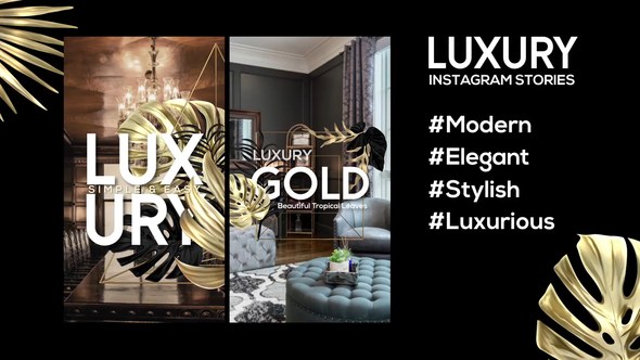 Videohive Luxury Instagram Stories 44861730 Product Promo template preview