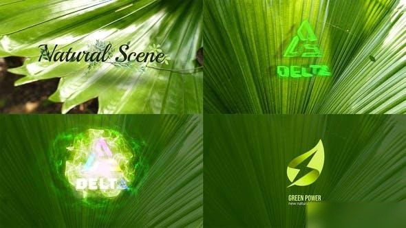 Videohive Nature Logo Reveal 43254659 Logo Stings template preview