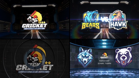 Videohive Cricket VS 3 Logo Stings template preview