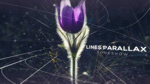 Lines Parallax Slideshow Video Displays template preview