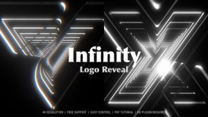 Videohive Logo Reveal 56581056 Logo Stings template preview