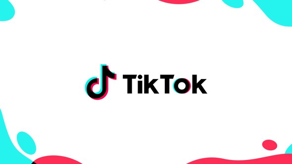 Videohive TikTok Promo 26654733 Openers template preview