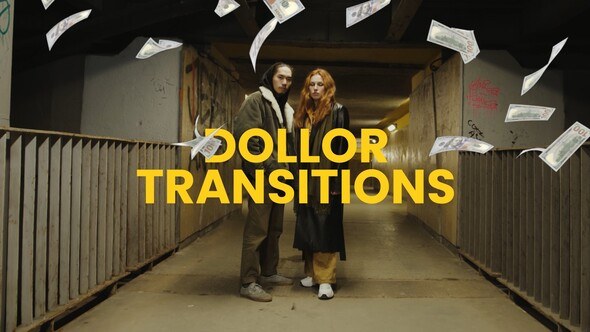 Videohive Dollar Money Transition Elements template preview