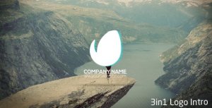 Videohive Logo Intro 3 in1 Logo Stings template preview