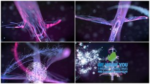 Videohive Christmas Particles 20989021 Logo Stings template preview