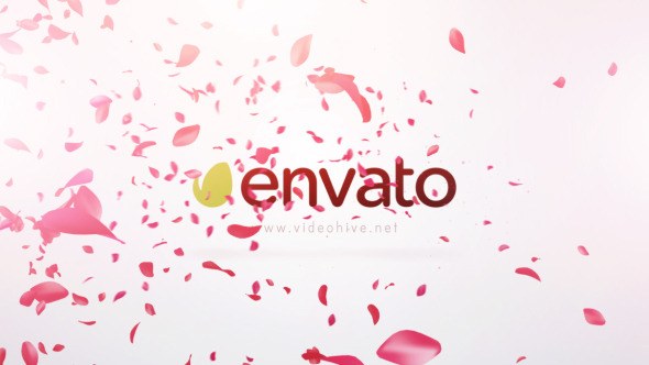 Petals Logo Reveal - After Effects Project (Videohive) Logo Stings template preview