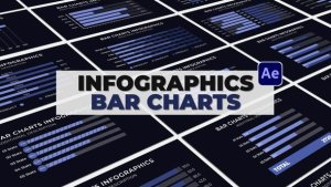 Videohive Infographics Bars Charts 51840315 Infographics template preview