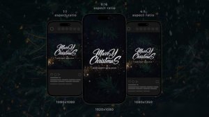 Videohive Christmas Wishes Instagram Stories 42193653 Openers template preview
