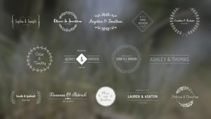 Wedding Titles Video Displays template preview