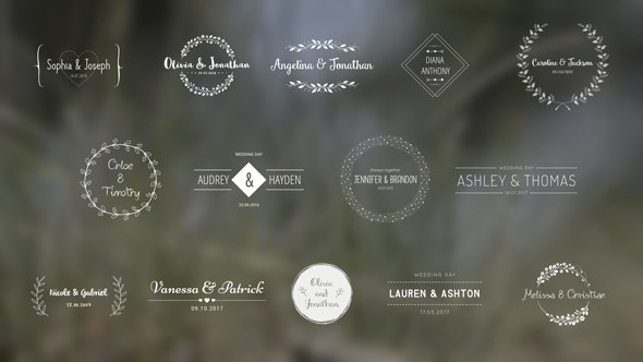 Wedding Titles Video Displays template preview