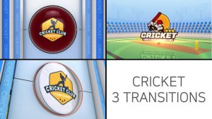 Videohive Cricket Logo Transition Elements template preview