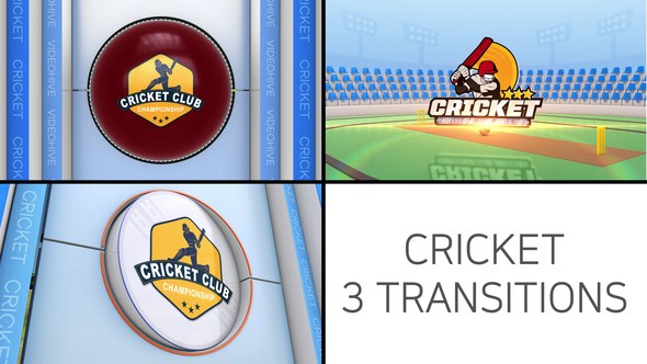 Videohive Cricket Logo Transition Elements template preview
