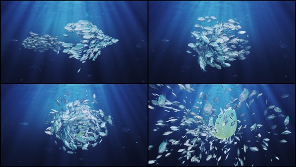 Videohive Ocean/ Blue Sea Eco Fish Logo Logo Stings template preview