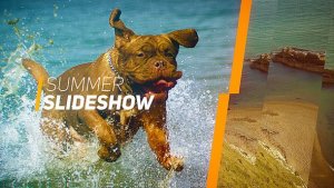 Videohive Summer Slideshow 16665840 Video Displays template preview