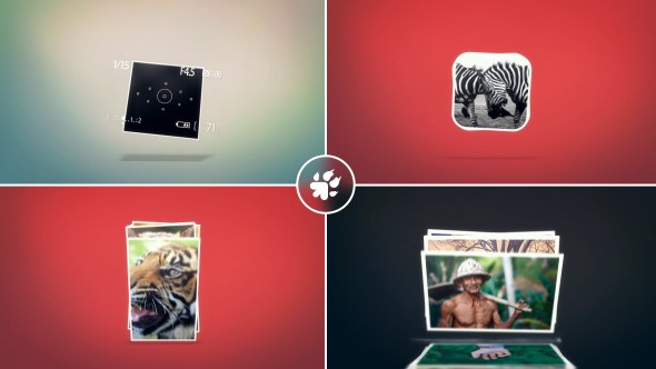 Videohive Photographer Identity Logo Logo Stings template preview