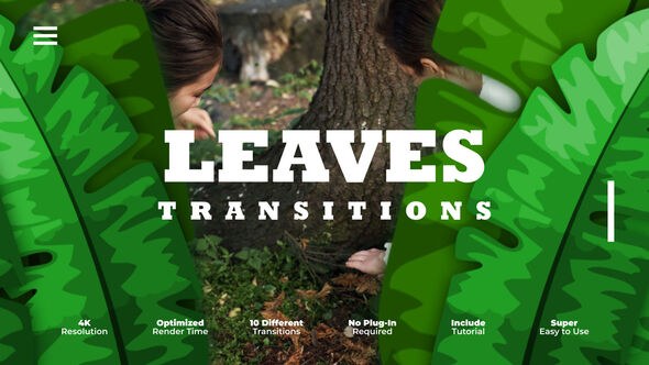 Videohive Leaves Transitions Elements template preview