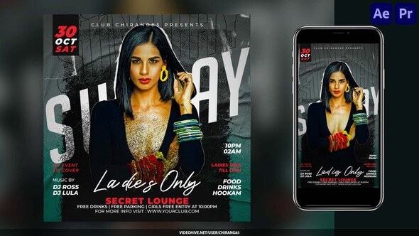 Videohive Night Club Flyer v32 Openers template preview