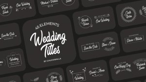 Videohive Wedding Titles 43973750 Titles template preview