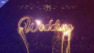 Videohive Wedding Celebrate Logo Stings template preview