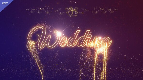 Videohive Wedding Celebrate Logo Stings template preview