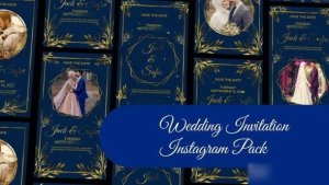 Videohive Wedding Invitation Instagram Story and Reel II Openers template preview