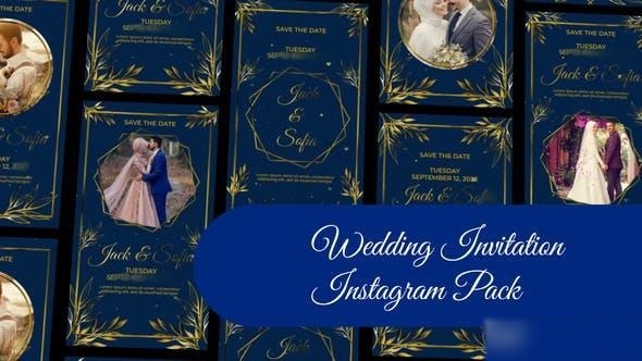 Videohive Wedding Invitation Instagram Story and Reel II Openers template preview