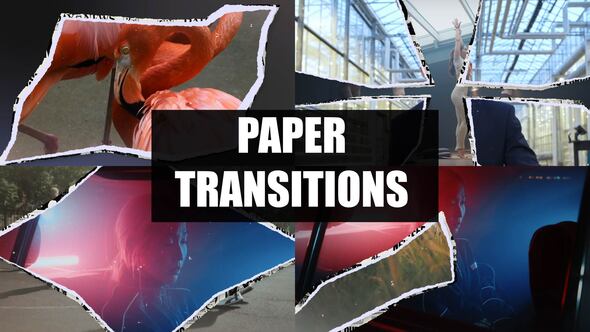 Videohive Paper Transitions 53818029 Elements template preview