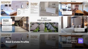 Videohive Social Media Reels - Real Estate Profile After Effects Project Files Product Promo template preview