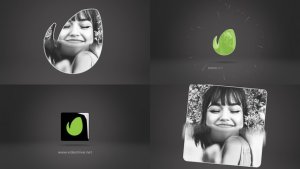 Videohive Photo Logo 52938376 Logo Stings template preview