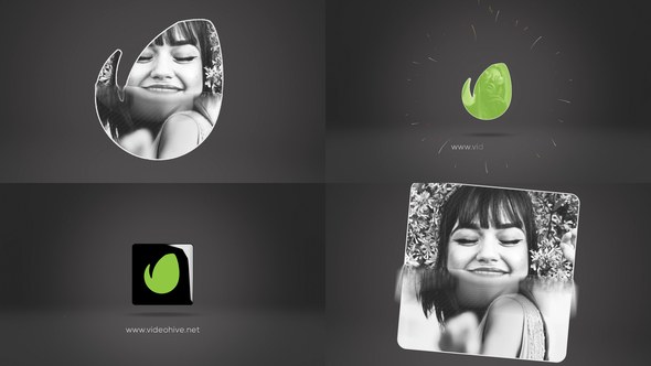 Videohive Photo Logo 52938376 Logo Stings template preview