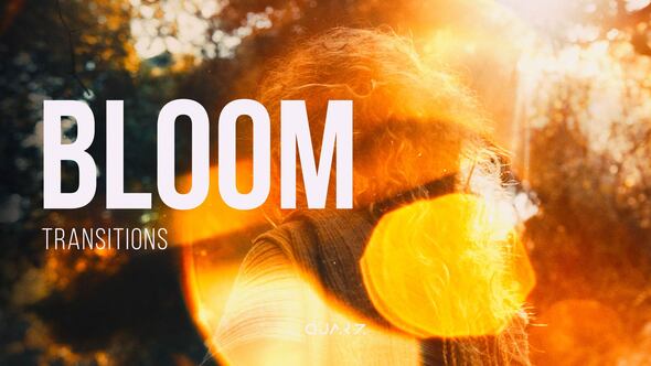 Videohive Bloom Transitions for After Effects Elements template preview