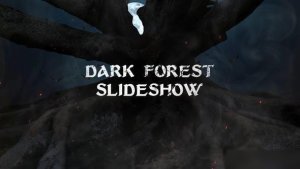 Videohive Horror Trailer / Dark Forest Slideshow Openers template preview